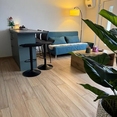 Apartment Torrent House